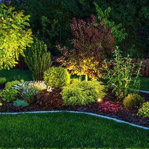 Landscape Lighting 1